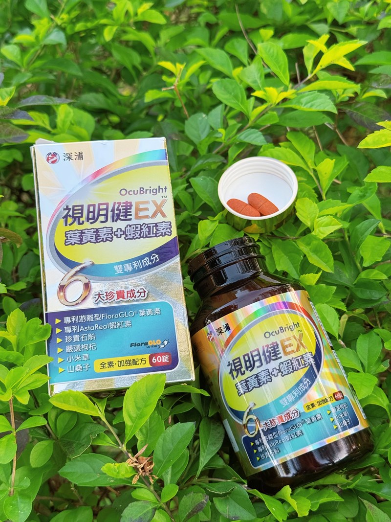 試用
